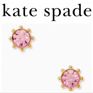 NWT Flying Colors Blush Pink Stud Earrings